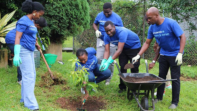 UNFCU Staff attend to a tree