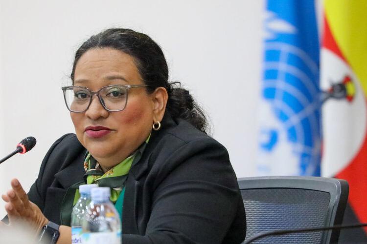 A women seated at a desk speaking into a microphone. Behind her is the UN flag and another flag.