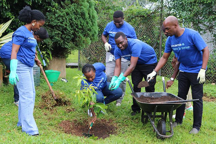 UNFCU Staff attend to a tree